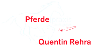 Pferdepraxis am Flughafen, Quentin Rehra