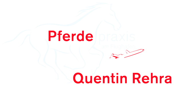 Pferdepraxis am Flughafen, Quentin Rehra